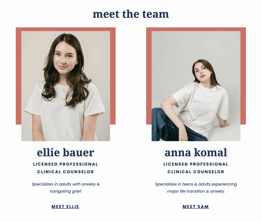 meet the team section on home page
